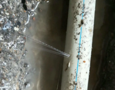 大余测漏水哪家好