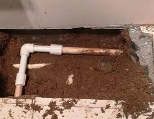 大余测漏水哪家好