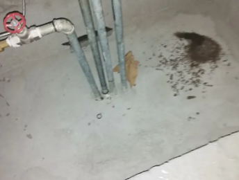 大余卫生间测漏水价格明细