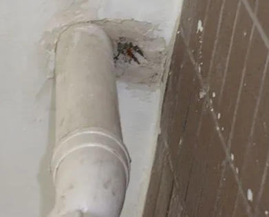 大余漏水检测哪家好